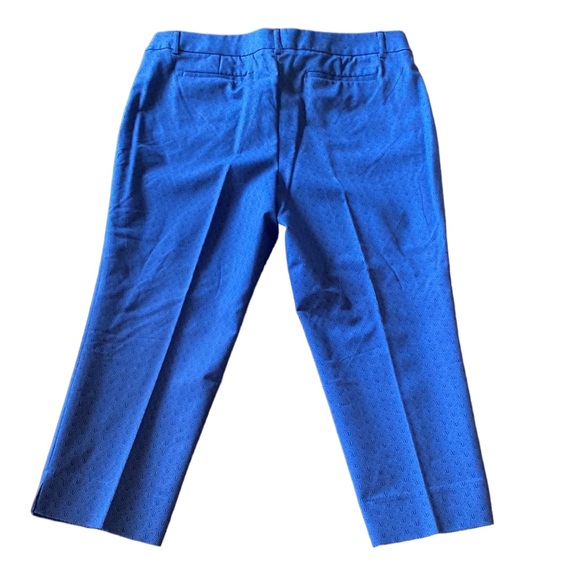 Hilary Radley Blue Cotton Capris Pants. Size 16. Excellent Condition. Like New! - Picture 3 of 5